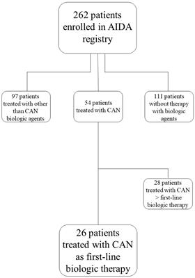 Canakinumab as first-line biological therapy in Still’s disease and differences between the systemic and the chronic-articular courses: Real-life experience from the international AIDA registry